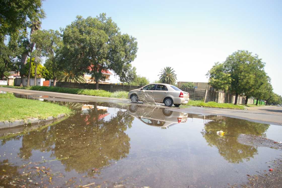 Parts of the country will experience rainfall during the festive season of 2025 Parts of the country will experience rainfall during the festive season of 2025
