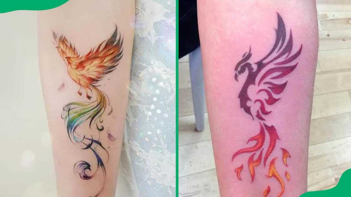 Colour phoenix tattoo Colour phoenix tattoo