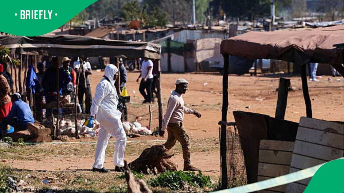 Zama zamas informal settlements