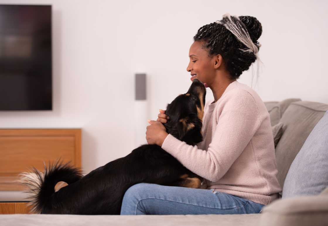 A dog licking a woman's face. A dog licking a woman's face.