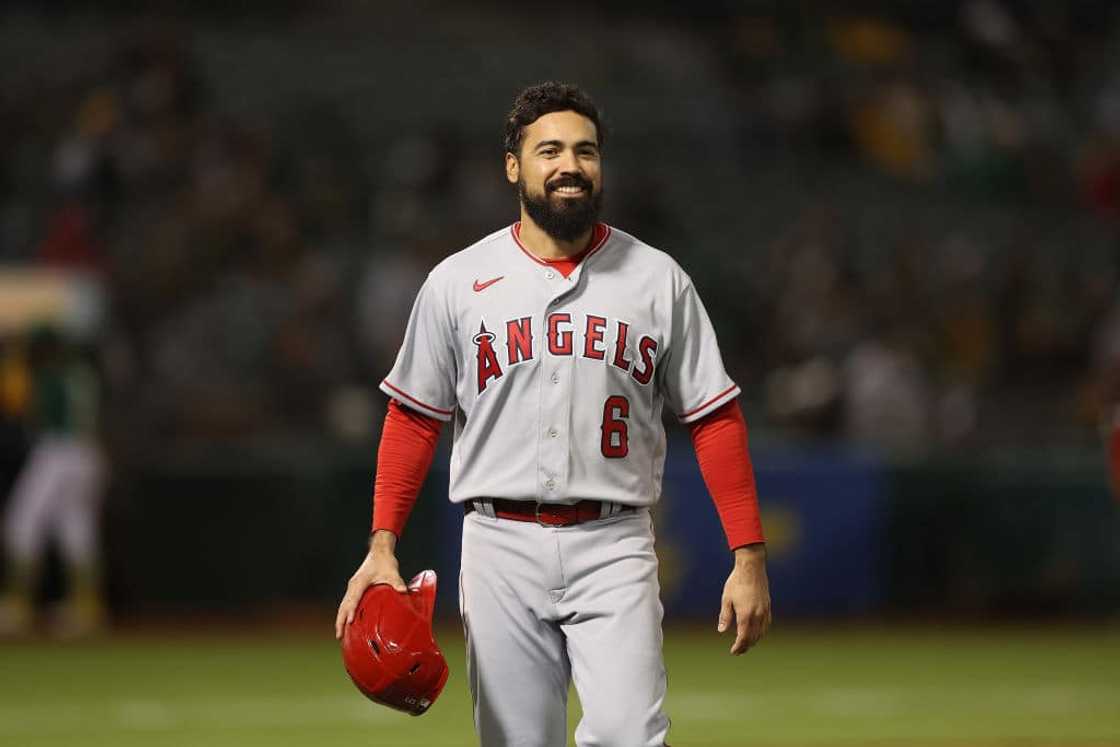 What was the highest-paying sport in 2022? What was the highest-paying sport in 2022?