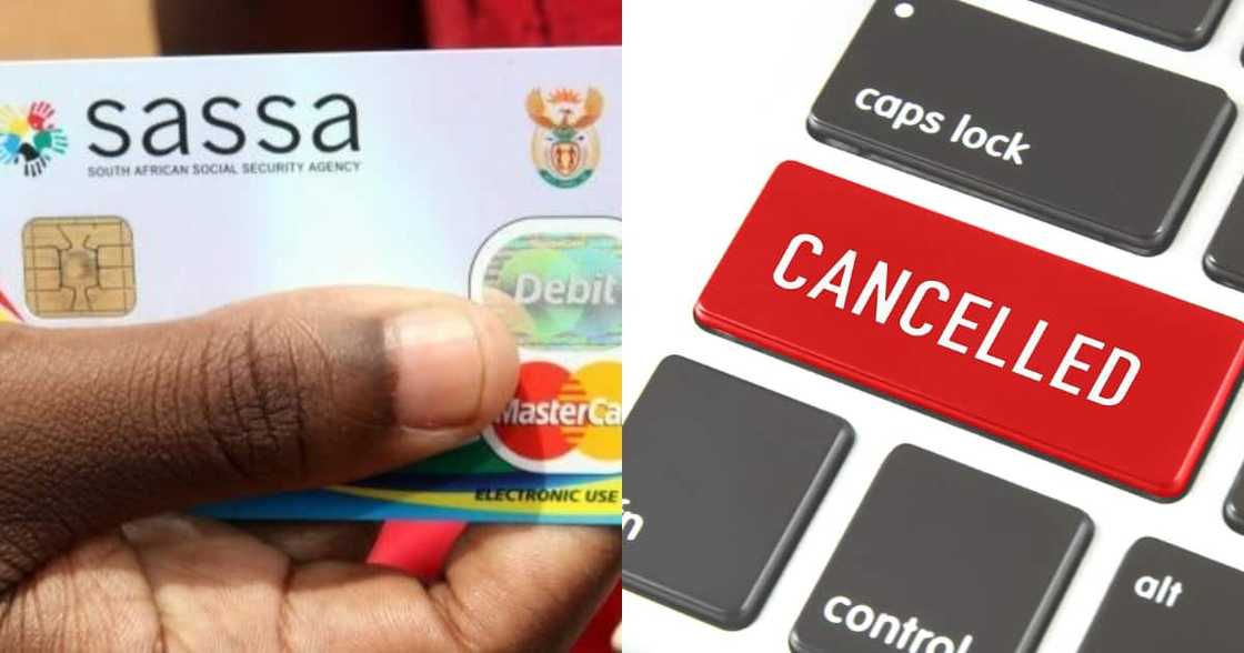 How can you cancel your SRD application without a phone number? How can you cancel your SRD application without a phone number?