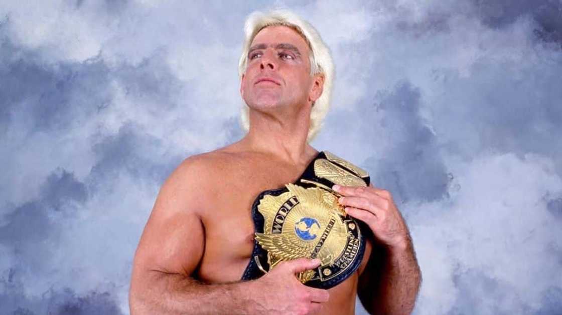 Ric Flair Ric Flair