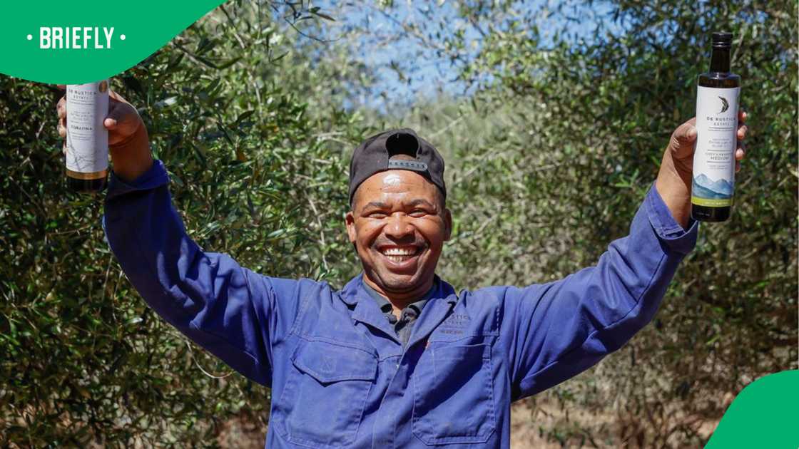 De Rustica's olive oil takes first place in Spain competition