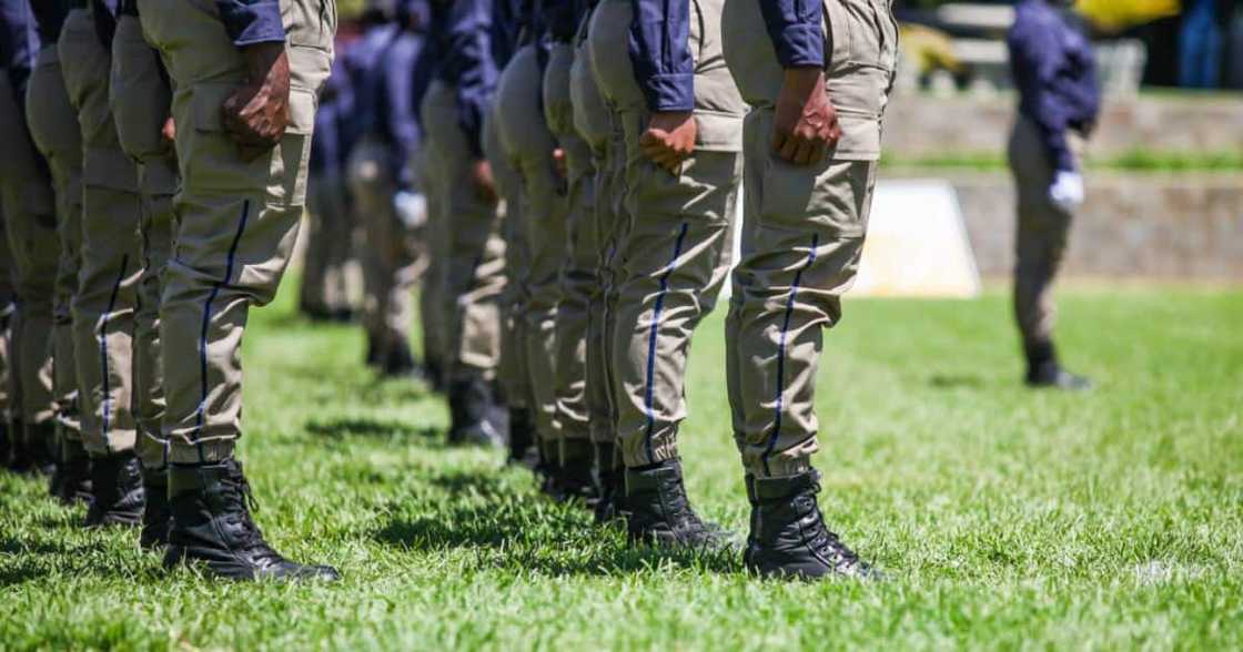 JMPD was bashed for snubbing coloured traffic wardens JMPD was bashed for snubbing coloured traffic wardens