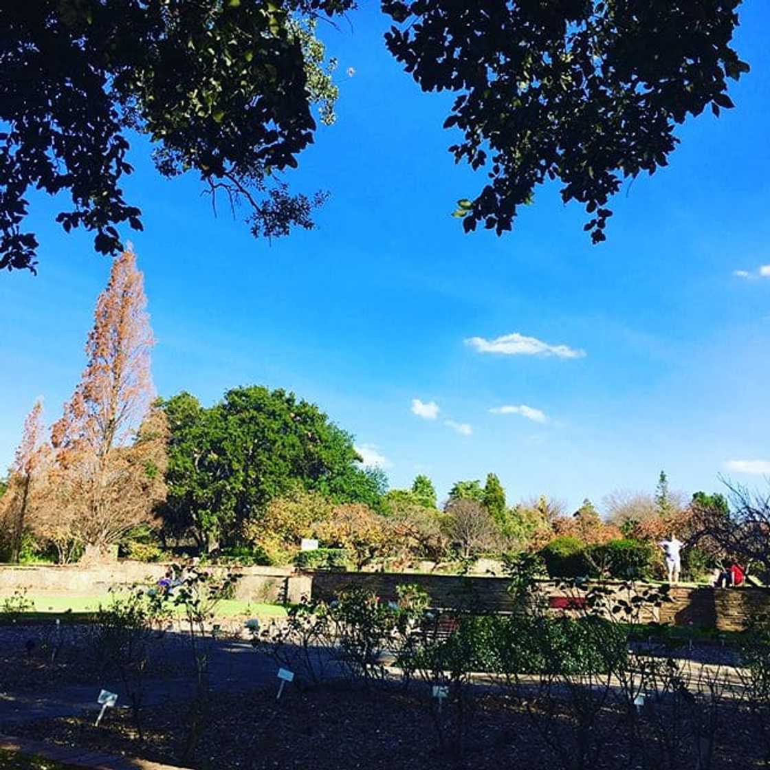 The best restaurants in Stellenbosch wine farms The best restaurants in Stellenbosch wine farms