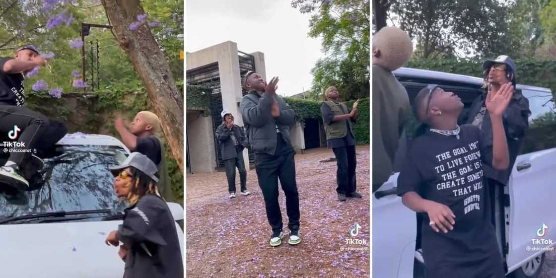 Ch'cco shares new song with TikTok Ch'cco shares new song with TikTok