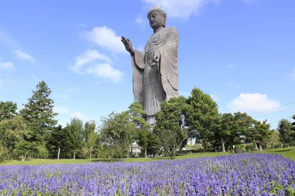 Statue of Unity Statue of Unity