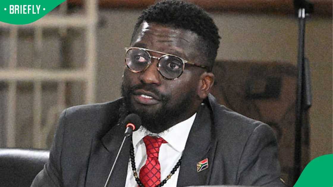 Ad Hoc Committee: Sauls Presents Claims Against KZN Hawks And General Mkhwanazi - Briefly.co.za