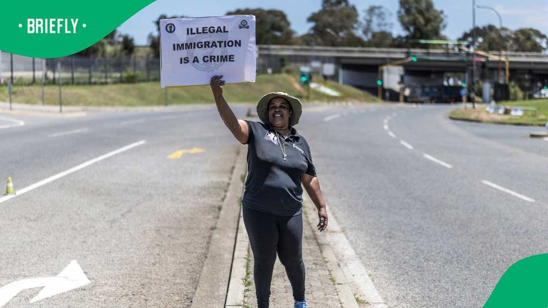 Operation Dudula's president Zandile Dabula defended the organisation