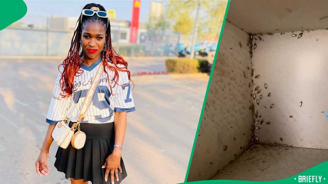 The woman also showed a pair of jeans filled with the crawling insects, even in the pockets
