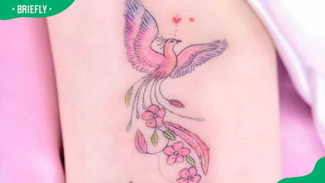 Pink phoenix tattoo Pink phoenix tattoo