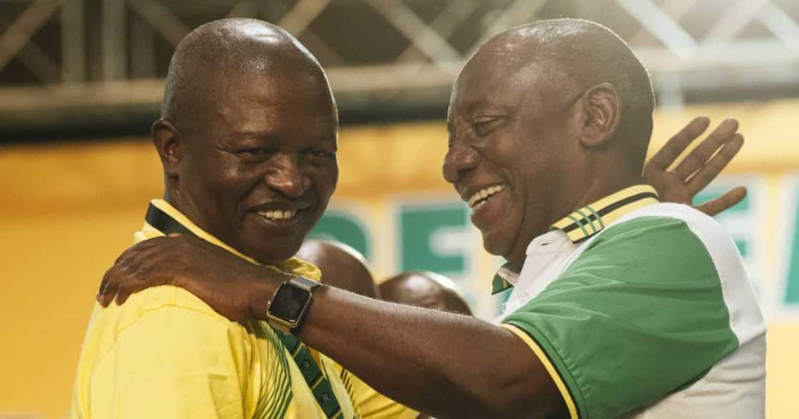 Deputy President, Acting President, David Mabuza, Cyril Ramaphosa, Covid 19, Cape Town, Social media, Twitter, South Africa, Office, Impractical jokes