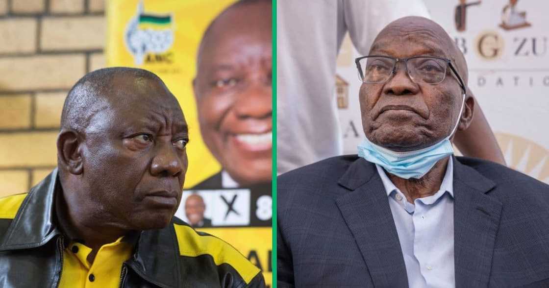 The MK party denied that Jacob Zuma hates Cyril Ramaphosa The MK party denied that Jacob Zuma hates Cyril Ramaphosa