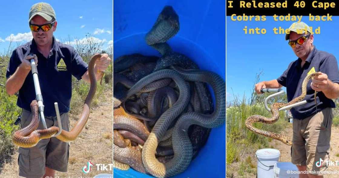 Man releases 40 covers and two worlds Man releases 40 covers and two worlds