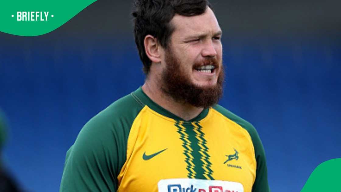 Springboks