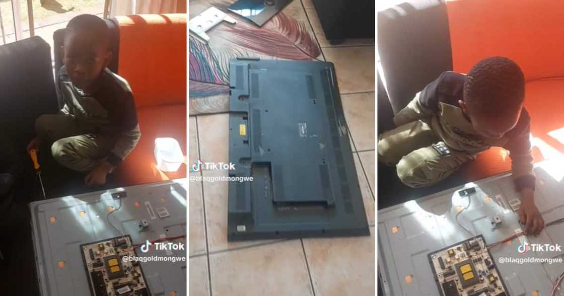 Small, smart boy fixing TV Small, smart boy fixing TV