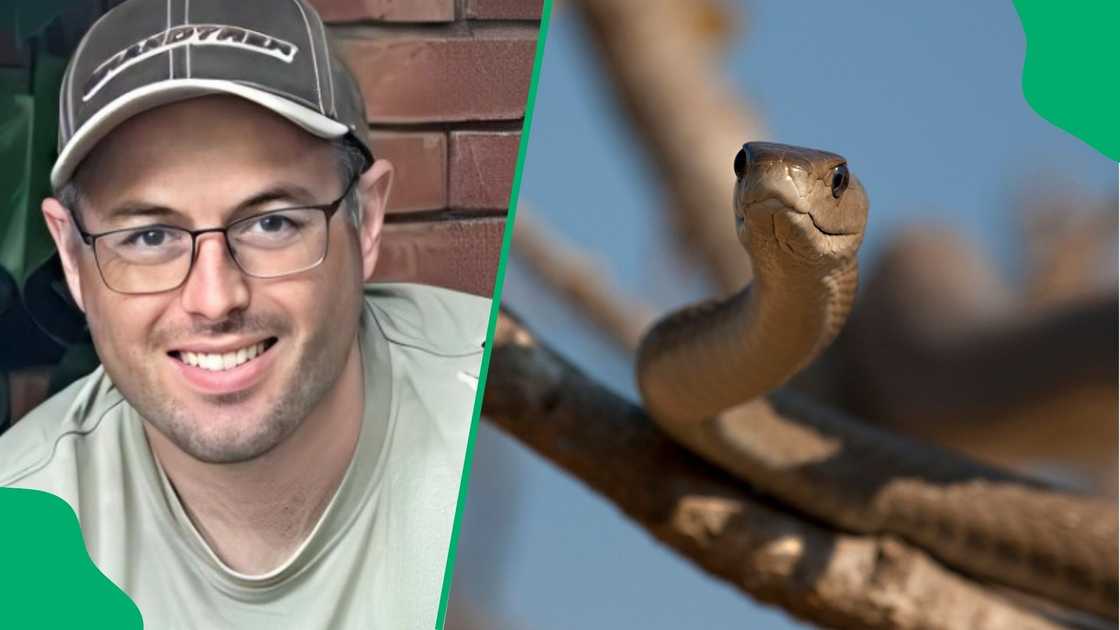 Snake handler Nick Evans caught a black mamba.