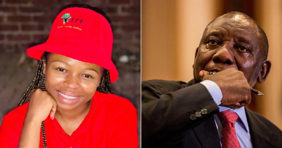 EFF, Naledi Chirwa, President Cyril Ramaphosa, social media, Twitter, insults, weak little boy EFF, Naledi Chirwa, President Cyril Ramaphosa, social media, Twitter, insults, weak little boy
