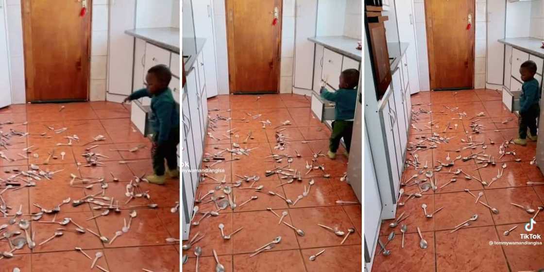 TikTok toddler spoons TikTok toddler spoons