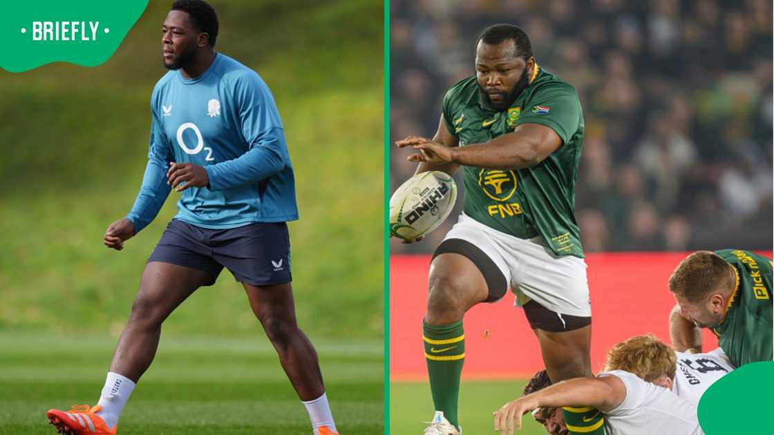 Springboks