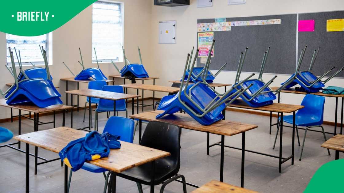 The North West High Court rules that learners placed in an Afrikaans school should remain there