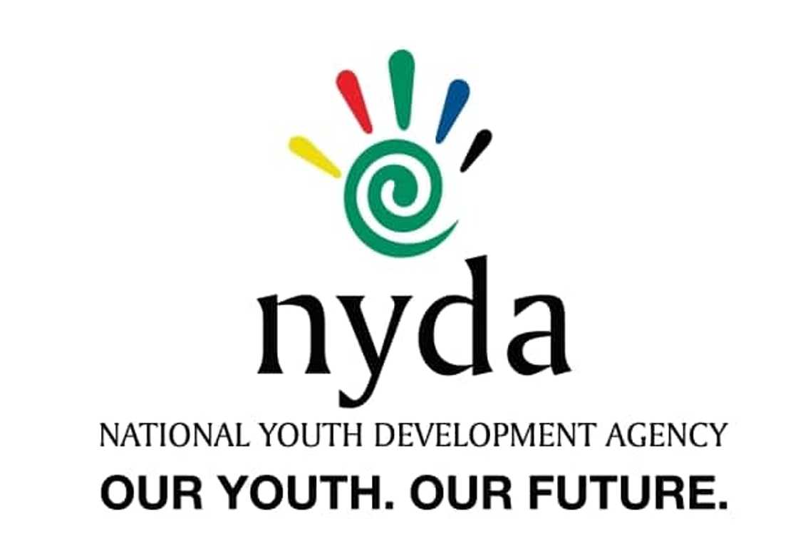 how does nyda funding work how does nyda funding work