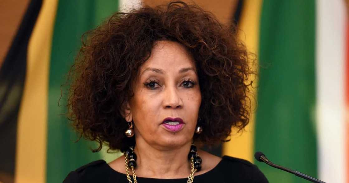 Civil Society Groups, Criticise Tourism Minister Lindiwe Sisulu, Judiciary, Constitution, open letter, opinion piece