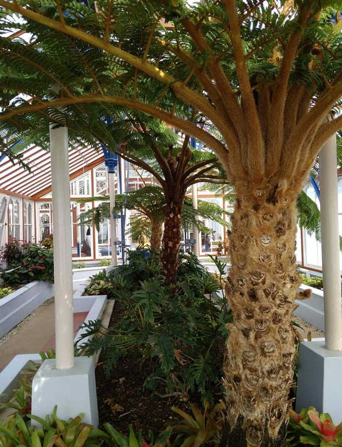 things to do in Port Elizabeth