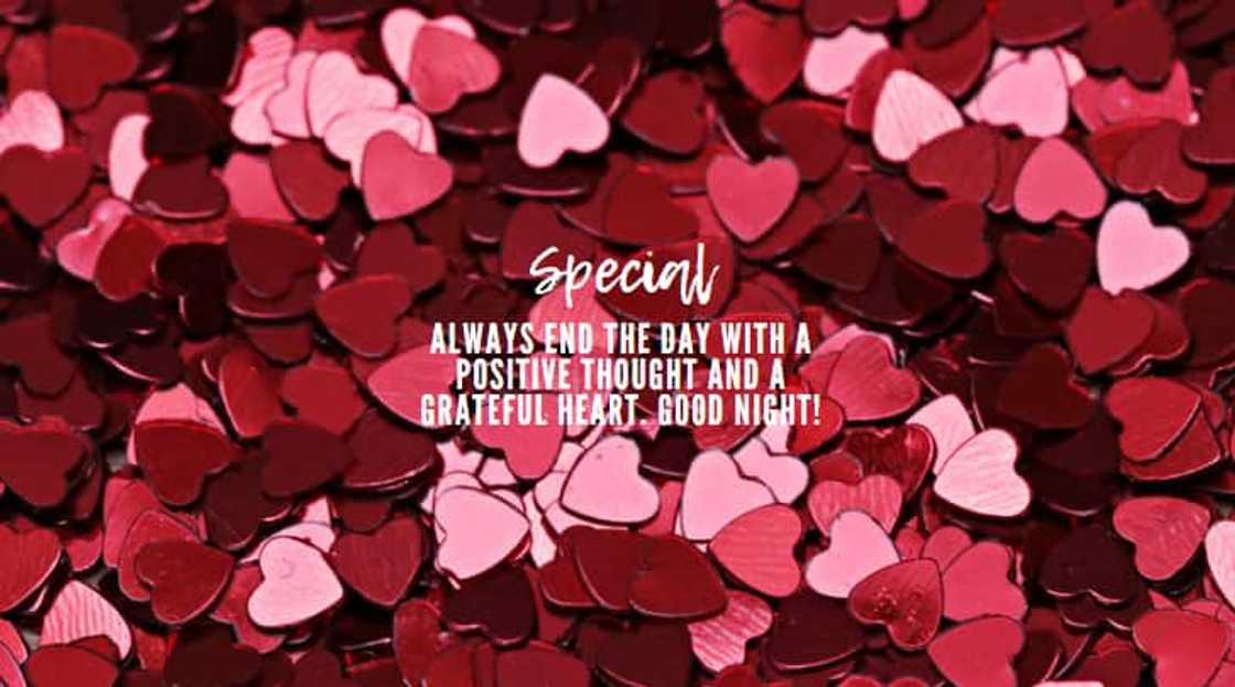 cute good night messages cute good night messages