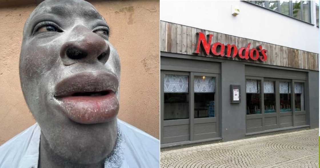 Mgijimi: Nando's Claps Back at Troll Over Rolls, SA Left in Stitches Mgijimi: Nando's Claps Back at Troll Over Rolls, SA Left in Stitches