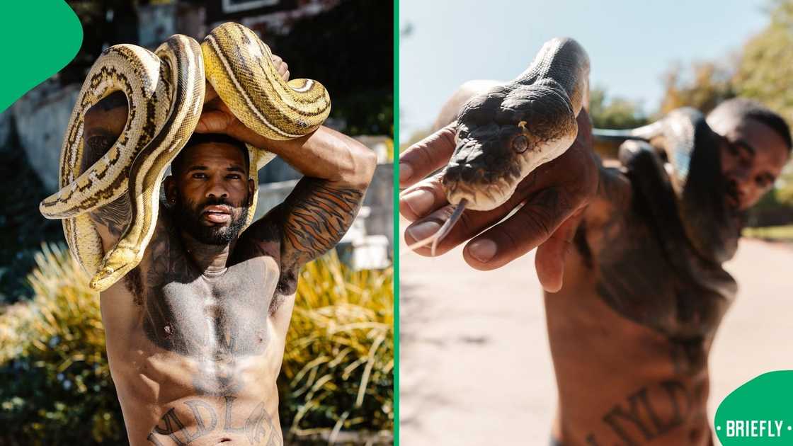 A man posing with snakes. A man posing with snakes.