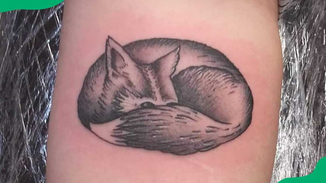 Fat cat tattoo