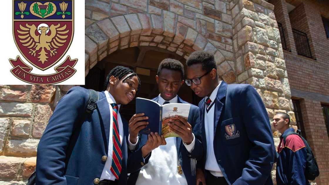 best schools in johannesburg best schools in johannesburg