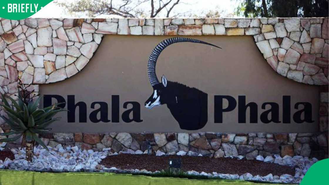 The MK Party has called for the impeachment inquiry committee to visit the Phala Phala farm The MK Party has called for the impeachment inquiry committee to visit the Phala Phala farm