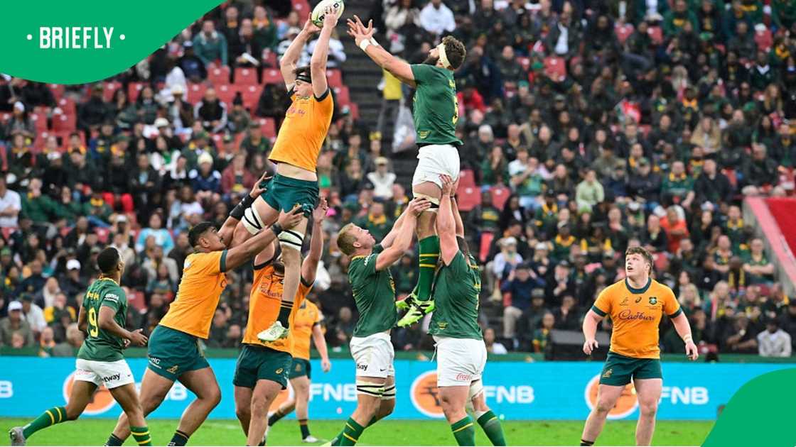 Springboks vs Wallabies