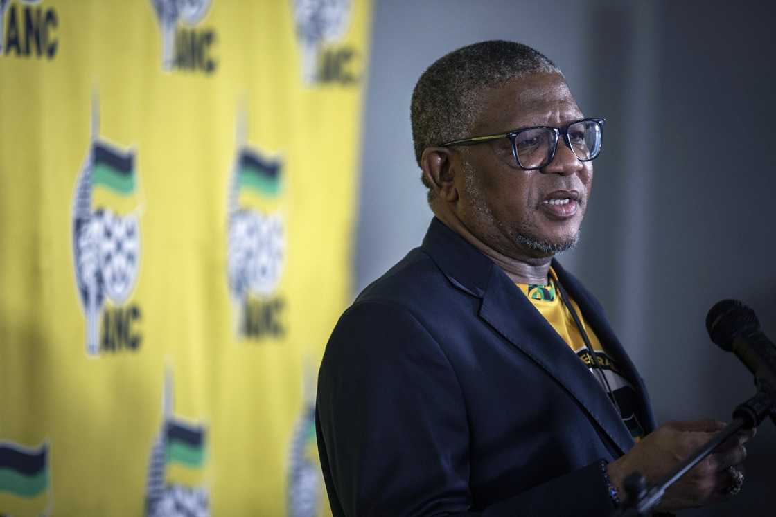 Fikile Mbalula is not happy with the campaign to place Patrice Motsepe as the president