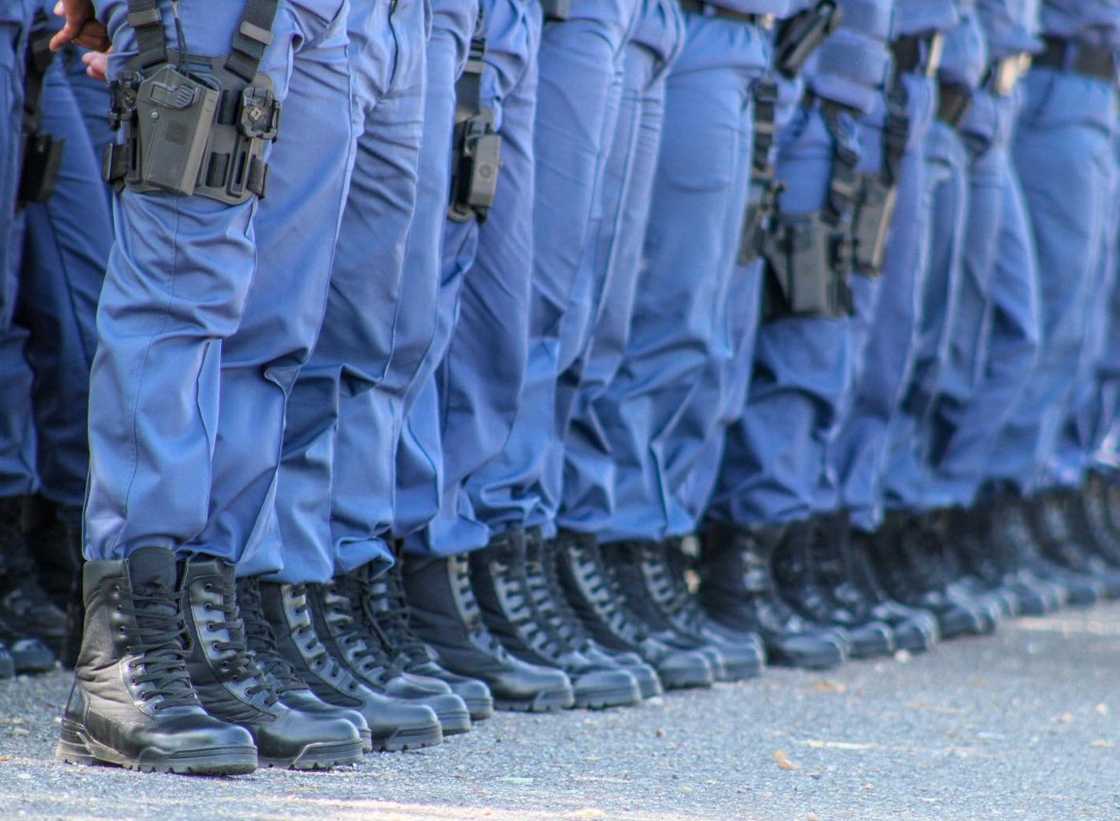 Julius Mkhwanazi was in the Ekurhuleni Metropolitan Police Department