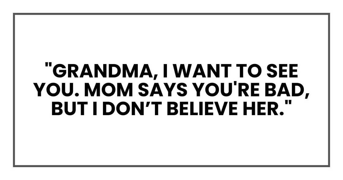 "Grandma, I want to see you. Mom says you're bad, but I don’t believe her. I know her secret. I'll hide it in the dinosaur book. Love, Timmy."