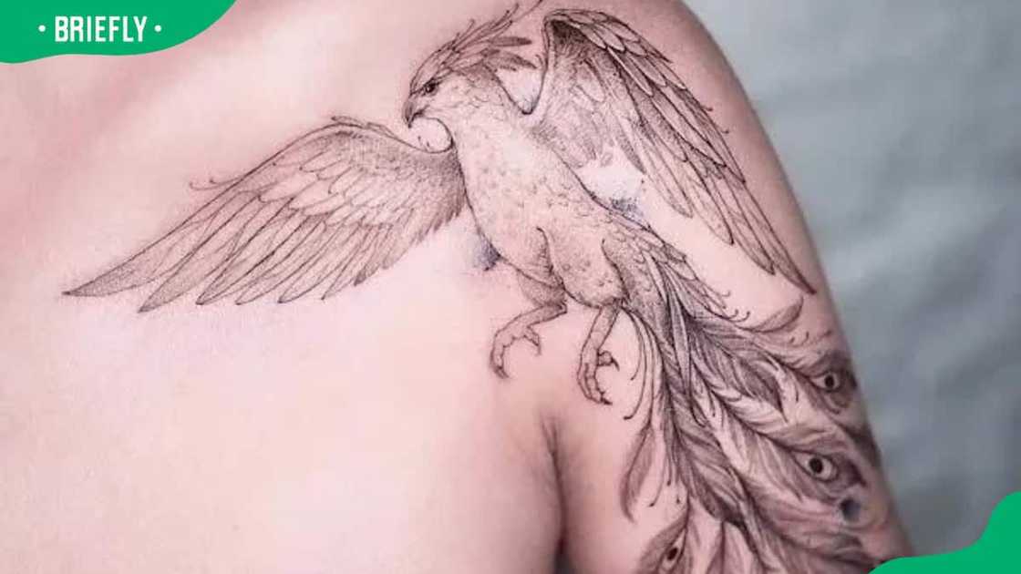 Intricate phoenix tattoo Intricate phoenix tattoo