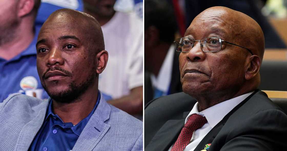 Mmusi Maimane, slams, former President Jacob Zuma, leaving Democratic Alliance, African National Congress