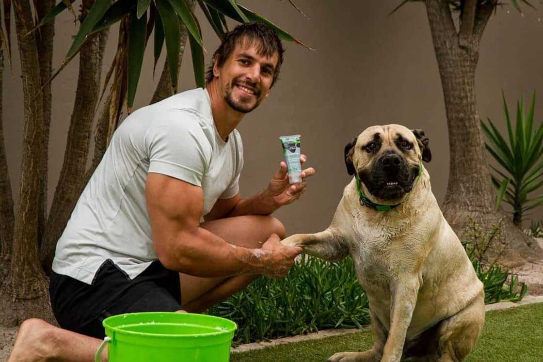 South African rugby players playing overseas South African rugby players playing overseas