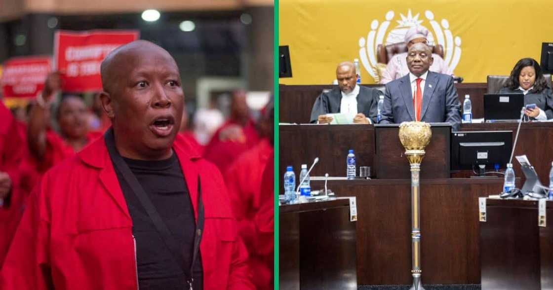 The EFF is fighting to be able to attend the State of The Nation Address after being banned from the SONA The EFF is fighting to be able to attend the State of The Nation Address after being banned from the SONA