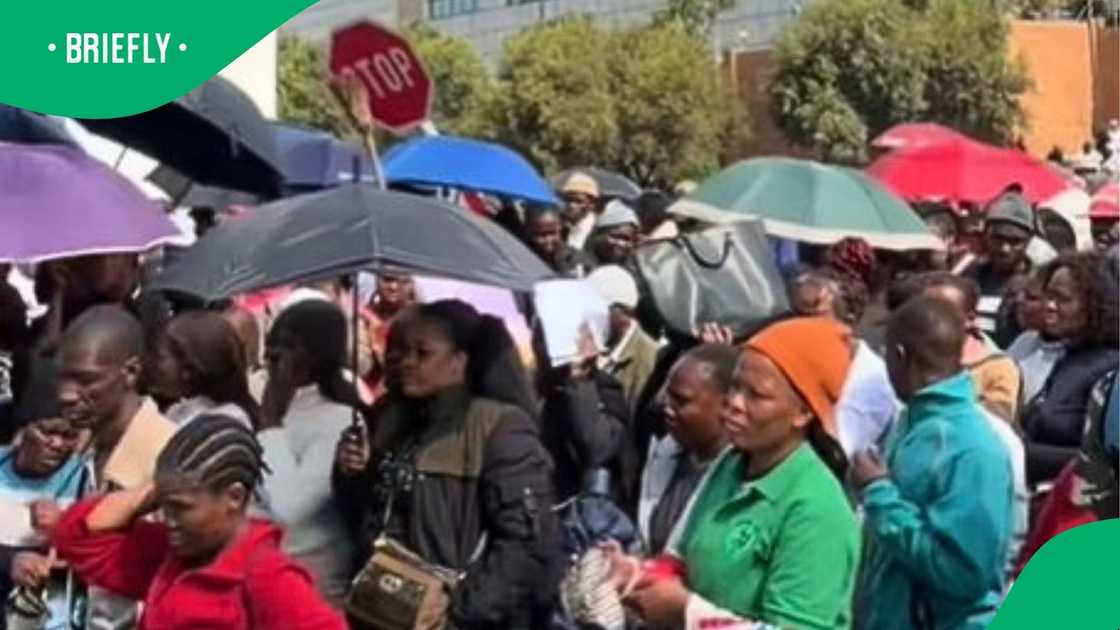 Unemployed young people march to find jobs in TikTok video Unemployed young people march to find jobs in TikTok video