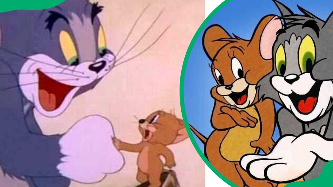 Tom and Jerry Tom and Jerry