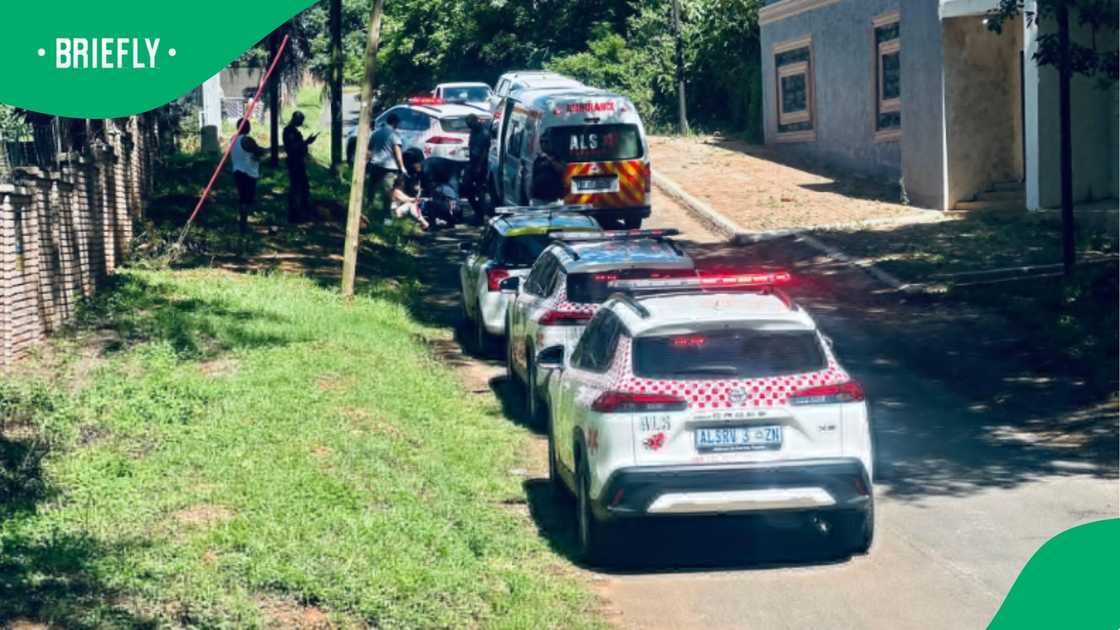 Paramedics arrived with Homeland Security Personnel to find that the Mom and teenage daughter had been bitten Paramedics arrived with Homeland Security Personnel to find that the Mom and teenage daughter had been bitten