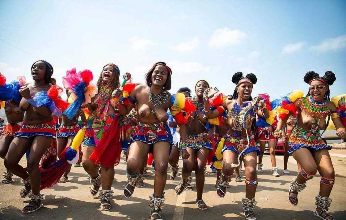 Reed Dance