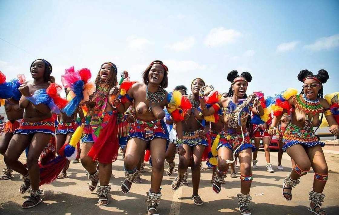 Reed Dance Reed Dance