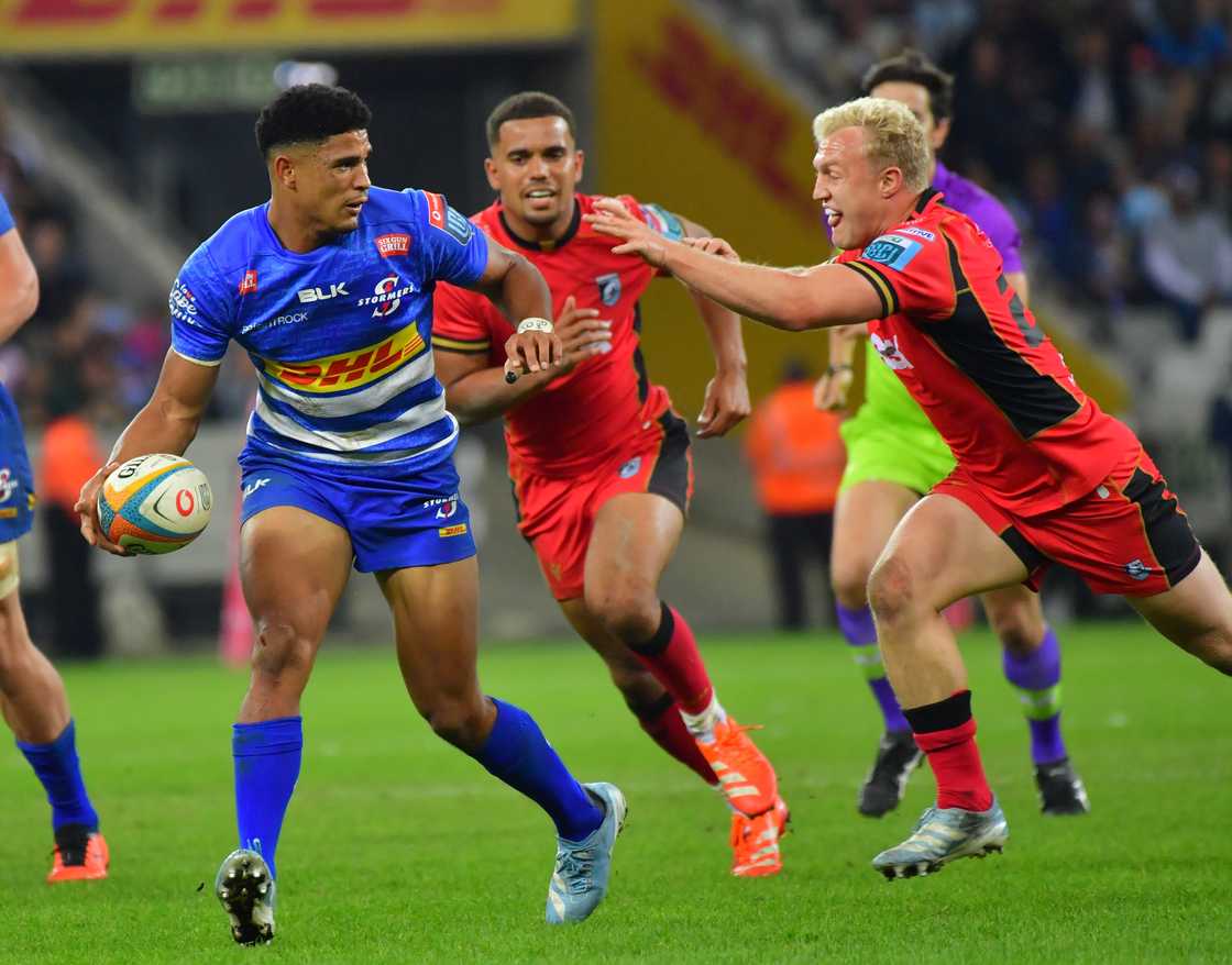 Springboks, Sacha Feinberg-Mngomezulu, South Africa Springboks, Sacha Feinberg-Mngomezulu, South Africa