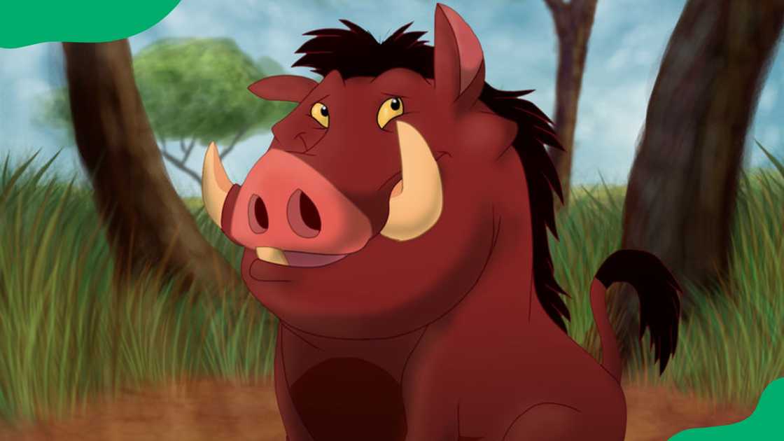 Pumbaa from The Lion King. Pumbaa from The Lion King.